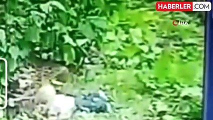 Ordu'da üvey babaanne dehşeti: 2 yaşındaki çocuğu balkondan böyle attı