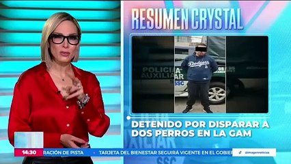Detienen a sujeto señalado por disparar contra dos perritos en la CDMX