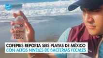 Vacaciones de Semana Santa: Cofepris reporta seis playas de México con altos niveles de bacterias fecales