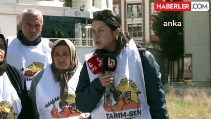 Agrobay İşçileri Ankara'da Parti Yetkilileriyle Görüştü