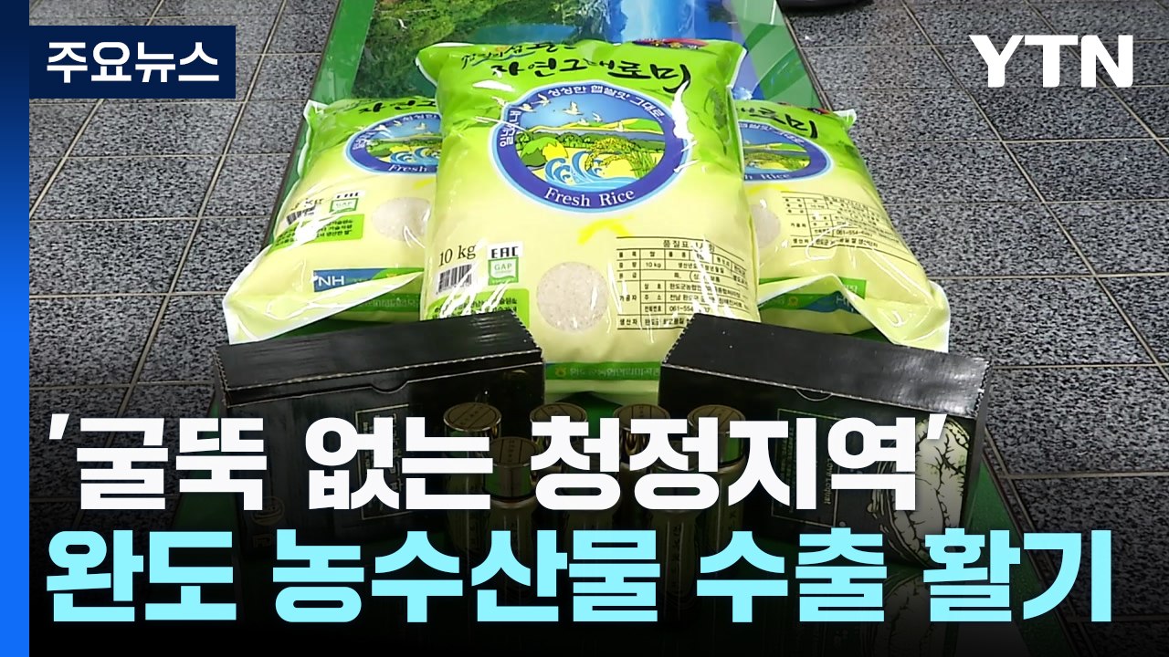 '굴뚝 없는 청정지역' 전남 완도 농수산물 수출 활기 / YTN