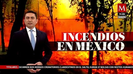 Incendio en Mineral del Chico ha dejado al menos 6 hectáreas de bosque afectadas