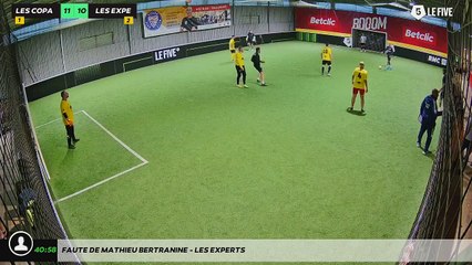 Faute de mathieu Bertranine - LES EXPERTS