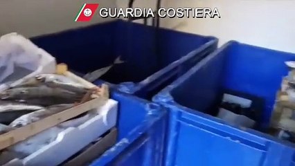 Palermo, sequestrati 2.500 chili di pesce nei mercatini rionali e ai venditori ambulanti