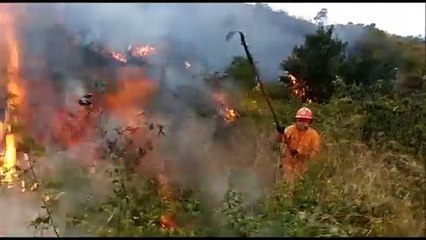Incendio en cerro quitasol de Bello