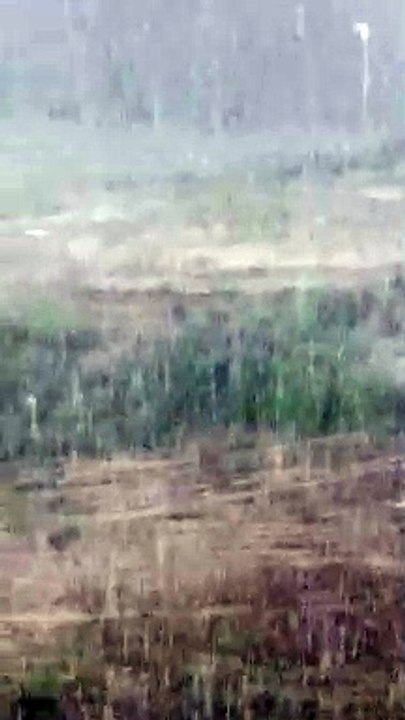 البويرة. الغيث بعد أيام عديدة من الحرارة المرتفعة و الجفاف