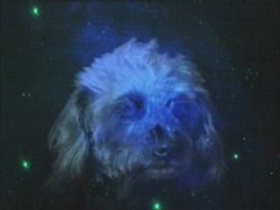 M83 - Graveyard Girl