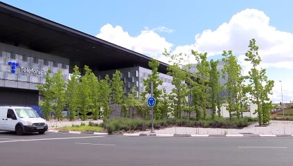 La SEPI informa a la CNMV de que ha alcanzado una participación del 3% en Telefónica