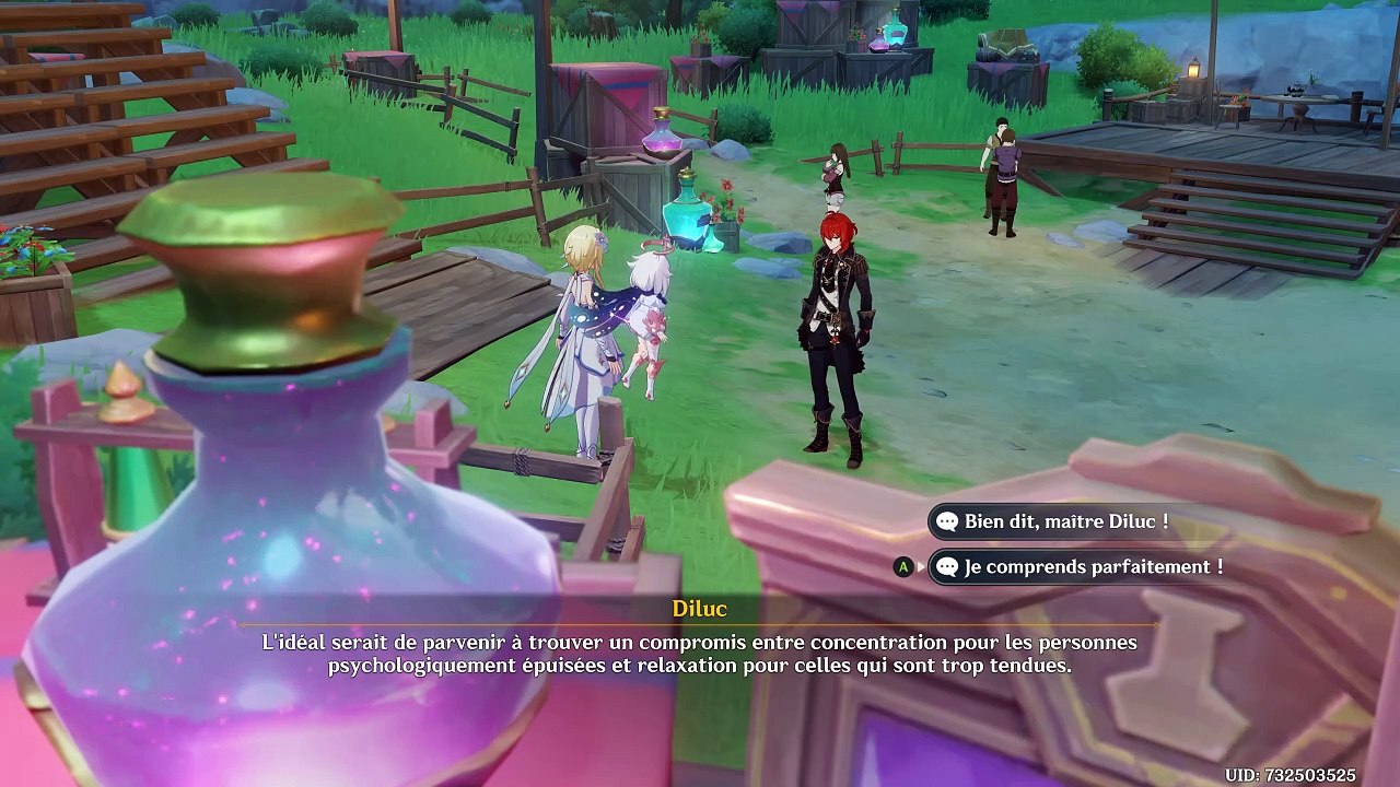 Genshin Impact Potions de potentiel (4)