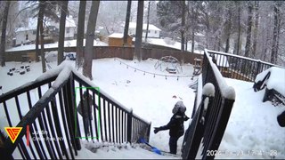 Close Call With Falling Tree Limb Caught On Wyze Camera | Doorbell Camera Video