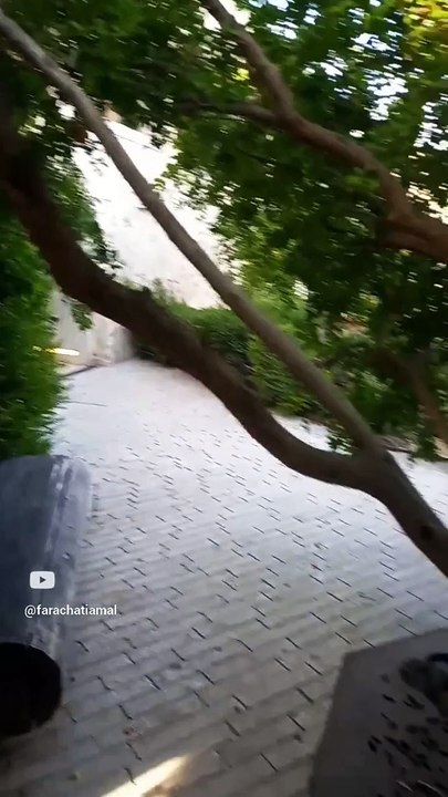 nature (7)