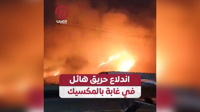 اندلاع حريق هائل في غابة بالمكسيك