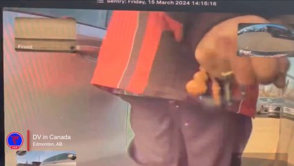 Tesla Sentry Mode Catch Guy Keying My Tesla | TeslaCam Live