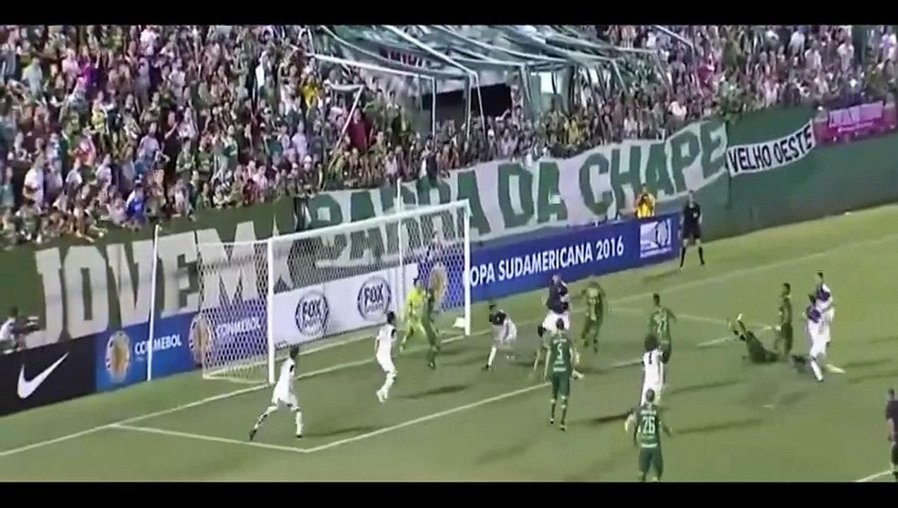 EL ULTIMO SOBREVIVIENTE