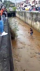 Rescato perrito or el parque Norte