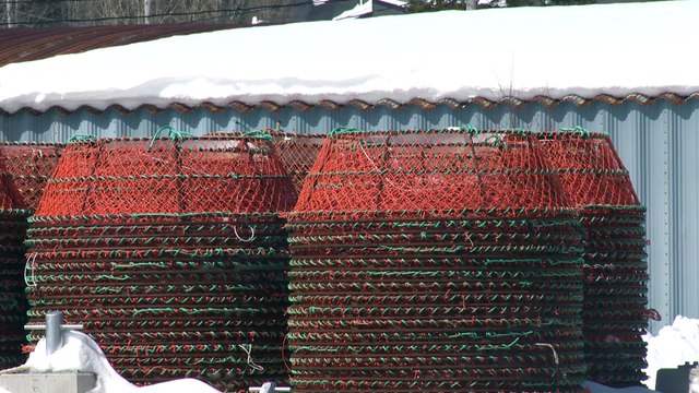 Pêche : les pêcheurs pélagiques sonnent l’alarme