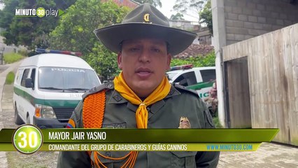 Descubren matadero clandestino de caballos en Copacabana