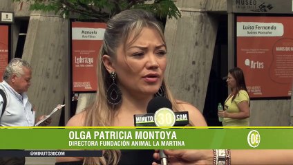 20-12-18 ¡Adopta no compres! El abandono animal aumenta luego de la Navidad