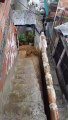 2 VIDEOS Calles destrozadas por fuertes lluvias en el barrio granizal, Medellín