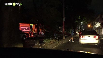 Árbol caído en la avenida guayabal afecta la movil