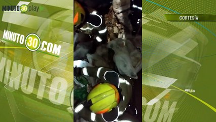 Acumulador de basura estuvo a punto de causar trag