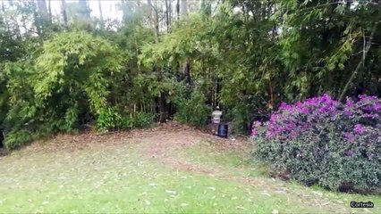 05-04-18  Siguen encontrando insumos y comida en operativos en Palmas