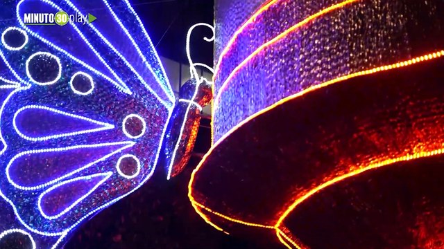 300 venteros informales se benefician con los alumbrados navideños más visitados en la historia de Medellín