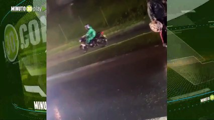 Un perrito murió al caer del volco de una camioneta en Medellín el dueño lo abandonó