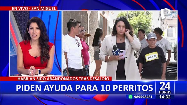 San Miguel: Piden ayuda para 10 perritos que fueron abandonados tras desalojo