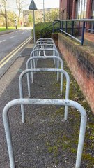 Border Collie Parkours on Bike Bars