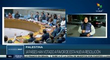 Consejo de Seguridad de la ONU propone una resolución al alto fuego en Gaza