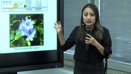 16-05-19 EPM combate el Buchón de Agua que invade la represa en Hidroituango