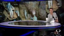 Hallan vestigios humanos de hace 30 mil años en cueva de México