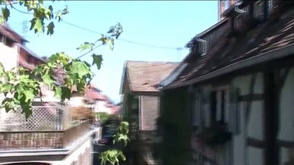 Memories of a Summer | movie | 2022 | Official Trailer