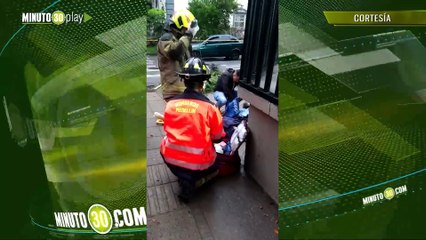 Le cayó el árbol encima Se presentó incidente de tránsito en la Avenida Nutibara