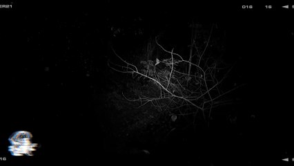 LO QUE HAY MÁS ALLÁ DEL SUEÑO AMERICANO PARTE I (Historias De Terror)