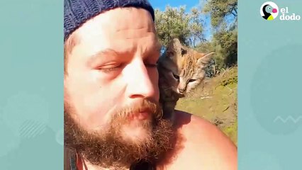 #CUTE: Hombre es adoptado por una gatita mientras viaja el mundo