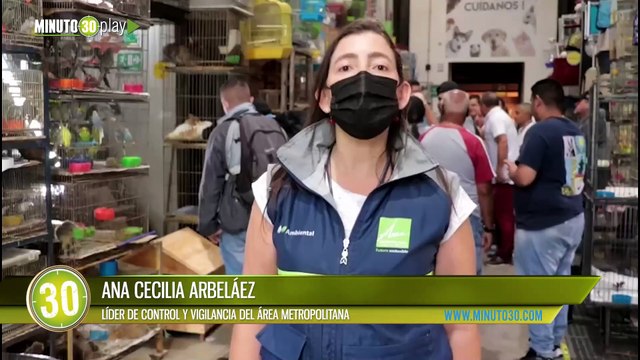 Rescataron tres cisnes negros que se encontraban en condiciones de maltrato