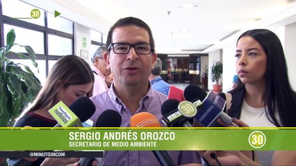 12-04-19 Uso de palma de cera en el Domingo de Ramos está penalizado por ley