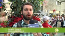 Ambientalistas dicen que la tala del túnel verde se está haciendo sin licencia social 07-01-2020