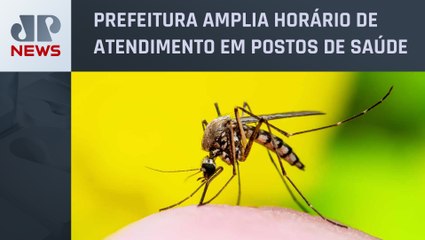 Dengue: Cidade de São Paulo tem 19 óbitos e alta de 35% nos casos em uma semana