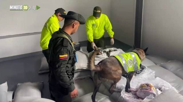 1077 kilogramos de marihuana fueron descubiertos por la Policía en una bodega en Medellín