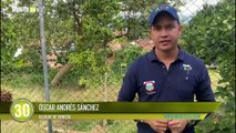Reanudan búsqueda de Leimar Felipe, que cayó al río Cauca ayer