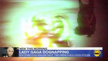 Bajo investigación el rapto de los perros de Lady Gaga