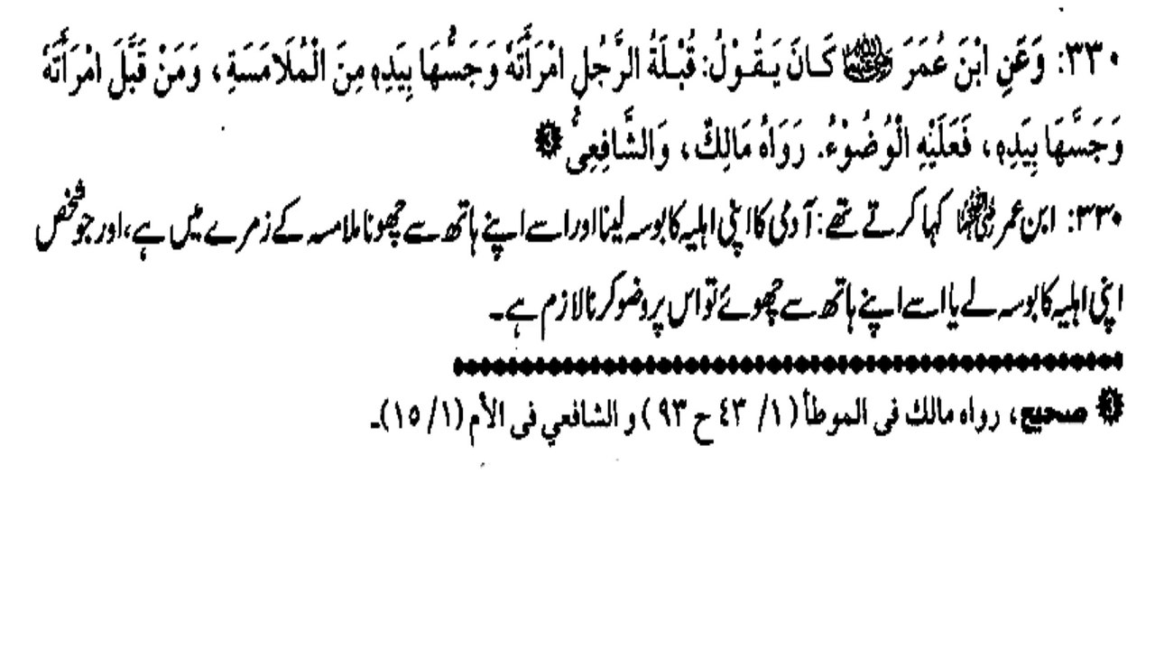 KYA BIWI KO HATH LAGANE SE WAZU WAZU TOOT JATA HAI ? (330)