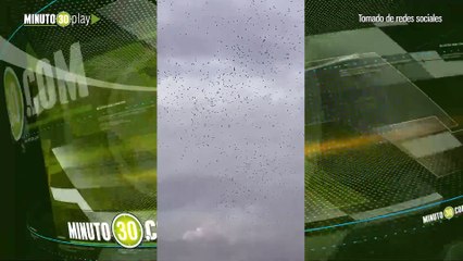 Una bandada de aves fue graba en el cielo de Medellín