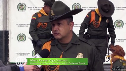 15-11-17 estupefacientes el dorado