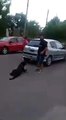#VIDEO: Arrastró a su perro atado al auto en Tunuyán
