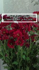 الافضل دائما ان نتطلع للامام بدلا من النظر الى الخلف