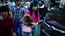 #OMG: La Triste y Escalofriante Razón por la que los Chinos Rematan a los Peatones que Atropellan (REAL)